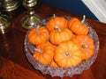 Jack Be Little Pumpkin Seeds - Miniature Fall Decor, 3-4 Inch Cucurbita pepo, Kids & Family Friendly, Compact Vines