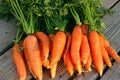 Danvers 126 Half Long Carrot Seeds - Non-GMO Heirloom Organic Vegetable Seeds for Home Garden, Free Shipping
