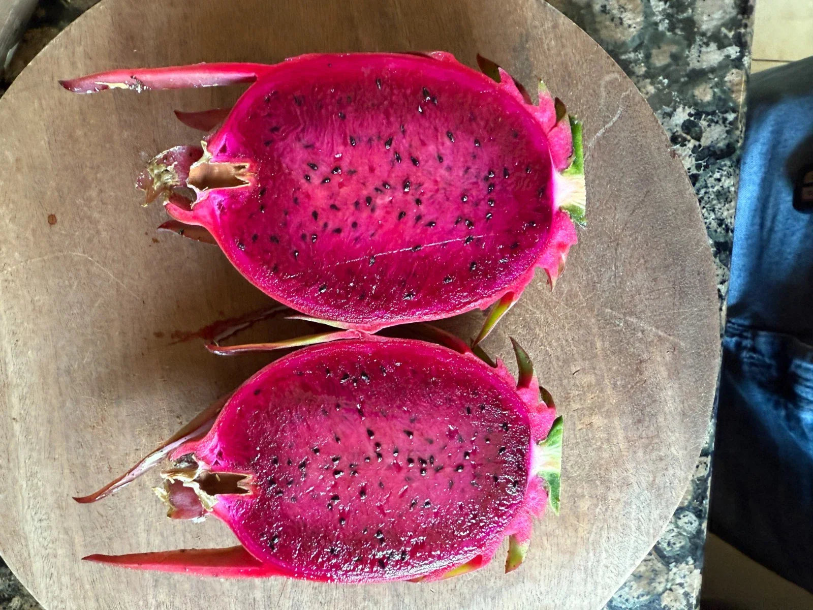 Australian Dragon Fruit Cutting 8-10" Red Flesh Hylocereus costaricensis, Climbing Cactus, Exotic Fruit Plant