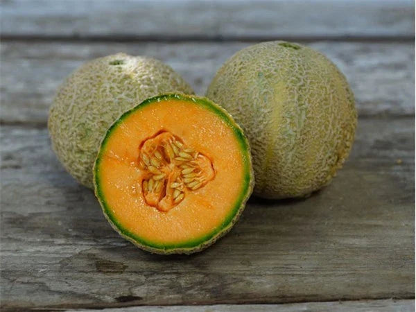 Cantaloupe Seeds - Honey Rock Variety - Cucumis melo - Juicy, Fragrant Melon Seeds for Home Gardening