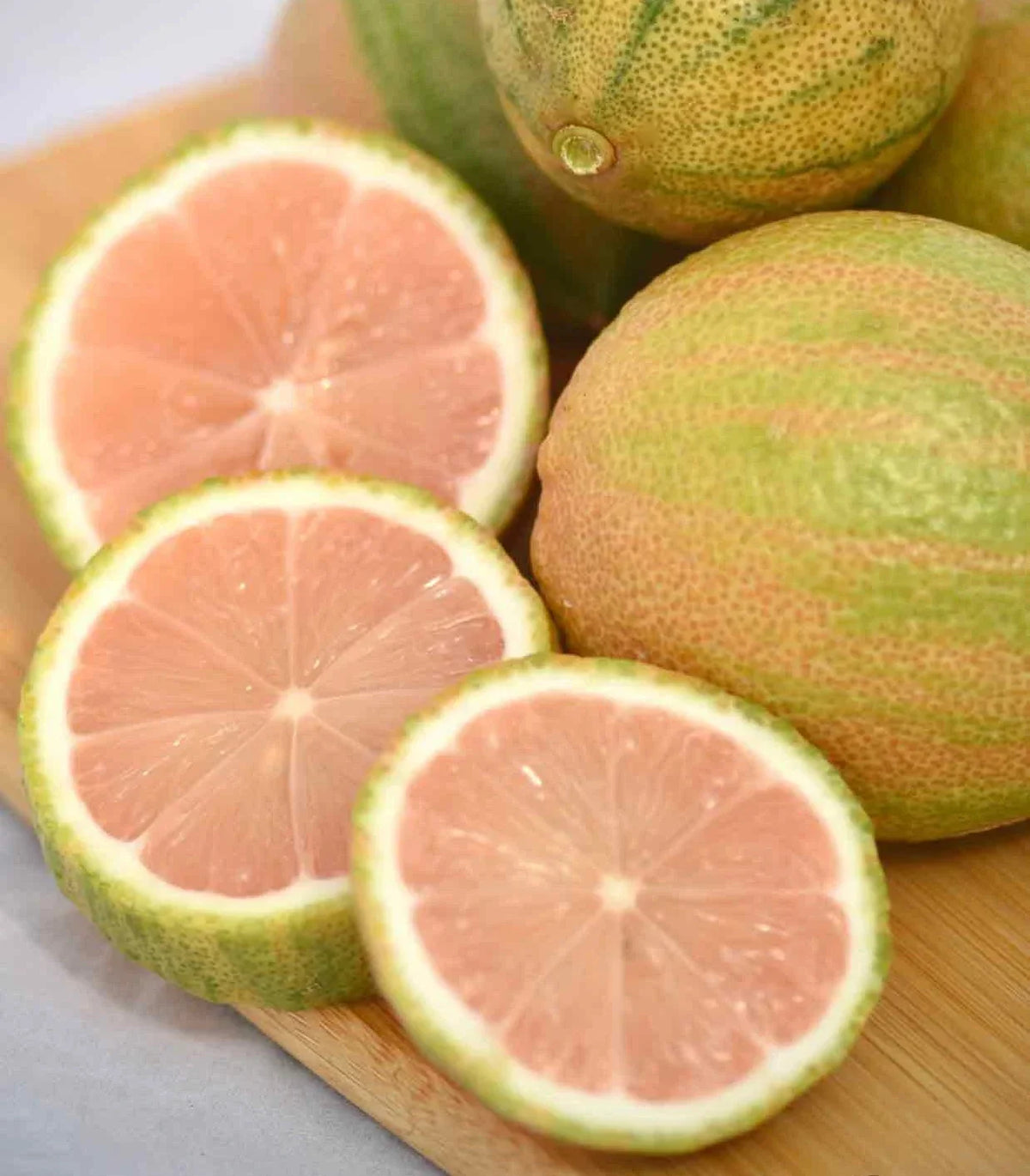 Pink Lemon Tree Plant - Fruiting Size with Pink Lemons | Citrus limon 'Pink Variegated'