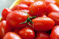 Crovarese Italian Grape Tomato Seeds, Heirloom Solanum lycopersicum, 50 Pack, Sweet Small Tomatoes for Salad & Cooking