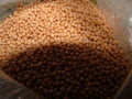 White Mustard Seed - 4 Oz Non-GMO Sinapis Alba for Microgreens and Planting