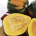Acorn Squash Seeds 50 Pack Cucurbita pepo Nutritious Table Squash for Home Gardening
