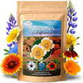 Arizona Wildflower Seed Mix - 14 Varieties Including Poppy & Lupine - 3 oz