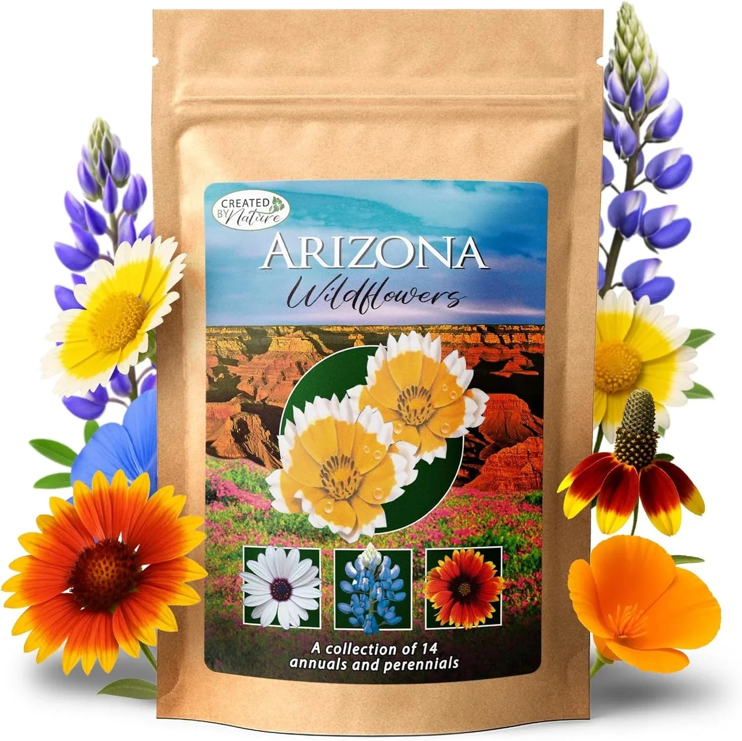 Arizona Wildflower Seed Mix - 14 Varieties Including Poppy & Lupine - 3 oz