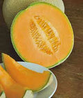 Cantaloupe Seeds 100 Count Heirloom Non-GMO Cucumis melo for Organic Gardening, Sweet Juicy Melons