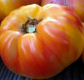 Big Rainbow Tomato Seeds – Organic Heirloom Indeterminate Beefsteak Variety, 100+ Colorful Fruits for Garden, Container, or Raised Bed