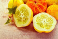 Lemon Cucumber Seeds - 100+ Heirloom Exotic Vegetable Seeds - Cucumis sativus for Salad & Pickling