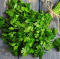 Flat Leafed Parsley Seeds – 75 Day Harvest, Petroselinum crispum, Heirloom Culinary Herb, Non-GMO, Full Sun, Easy to Grow