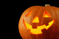 Jack O' Lantern Pumpkin Seeds - Heirloom Cucurbita pepo for Planting, 20+ Seeds, Large Orange Pumpkins, Halloween Carving & Cooking