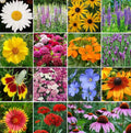 Perennial Wildflower Seed Mix - 1.8g, 19 Varieties, Native Flower Seeds for Garden, Attracts Pollinators, Eco-Friendly, Long-Lasting Blooms