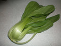 Cabbage Pak Choi Seeds, Taisai Variety, Brassica rapa Chinensis, 2000 Count, Edible Leafy Greens for Garden & Cooking