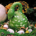 Gooseneck Bottle Gourd Seeds – Heirloom Non-GMO Cucurbita pepo for Gardening, Decoration & Culinary Use, USA Seller, Free Shipping