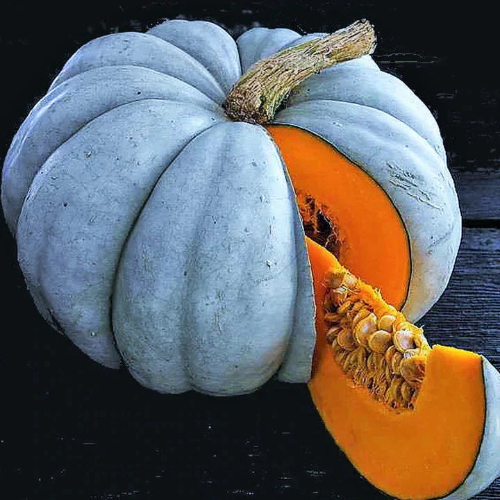 Jarrahdale Blue Pumpkin Seeds - Winter Squash Variety for 2025 Planting - Cucurbita maxima, Blue-green, Vining, Organic