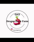 Purple Haze Dragon Fruit Cuttings - Mature Hylocereus undatus for Plant Propagation