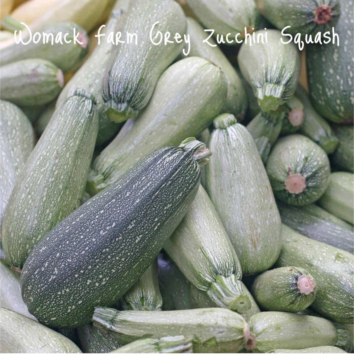Organic Grey Zucchini Seeds, Non-GMO Cucurbita pepo for Home Garden, 25+ Pack