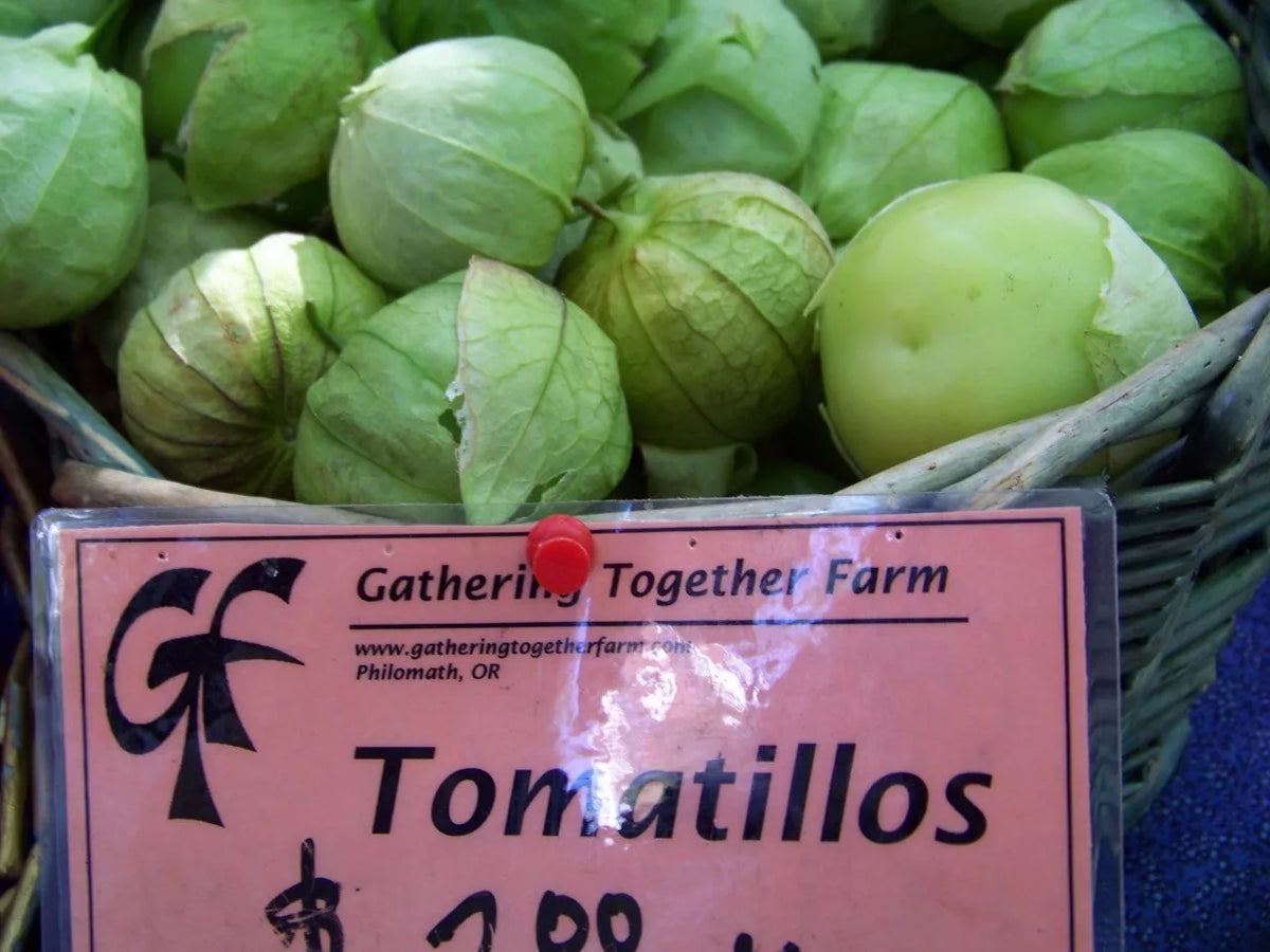 Tomatillo Seeds 100 Pack - Physalis ixocarpa Toma Verde for Salsa, Homegrown Garden, Non-GMO, Easy to Grow