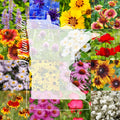 Wildflower Seed Mix 1 Pound Bulk Minnesota Native Wildflowers Covers 2000 sq ft