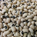 California Blackeye Cowpea Seeds – Heirloom Vigna unguiculata Legume for Vegetable Garden, 50 Seeds
