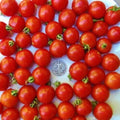 Tommy Toe Cherry Seeds – 25 Pack, Award-Winning Solanum lycopersicum, Sweet Small Cherry Tomatoes for Garden or Container Planting