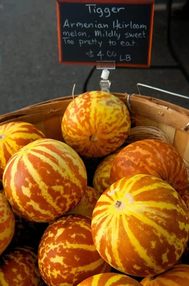 Tiger Melon Seeds – 10 Rare Exotic Fruit Seeds for Gardening – Cucumis melo var. reticulatus