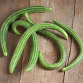 Painted Serpent Cucumber Seeds - Organic Heirloom Non-GMO, Vining, Cucumis sativus, 50+ Seeds
