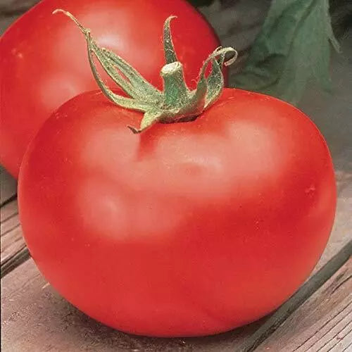 Big Boy Tomato Seeds F1 Hybrid Non-GMO Heirloom Vegetable Seeds for Home Gardening