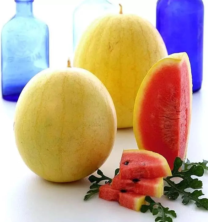 Golden Midget Watermelon Seeds - Organic Non-GMO Heirloom Citrullus lanatus for Small Gardens & Containers