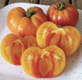 Pineapple Tomato Seeds, Bi-Colored Heirloom, Non-GMO, Solanum lycopersicum, Organic Gardening Supplies