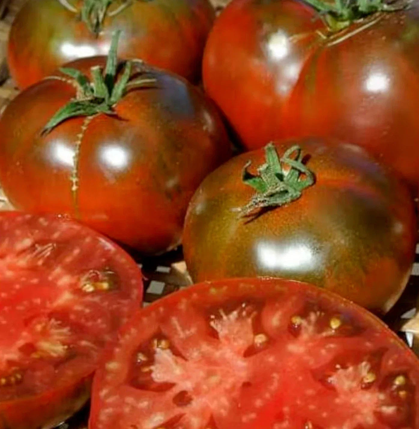 Paul Robeson Tomato Seeds - 50+ Beefsteak Indeterminate Garden Vegetable, Solanum lycopersicum, Heirloom, Dark Red, Full Sun
