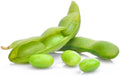 Edamame Seeds - 10 Pack - Glycine max - Organic, Non-GMO, Heirloom Gardening Seeds for Home Gardens & Containers