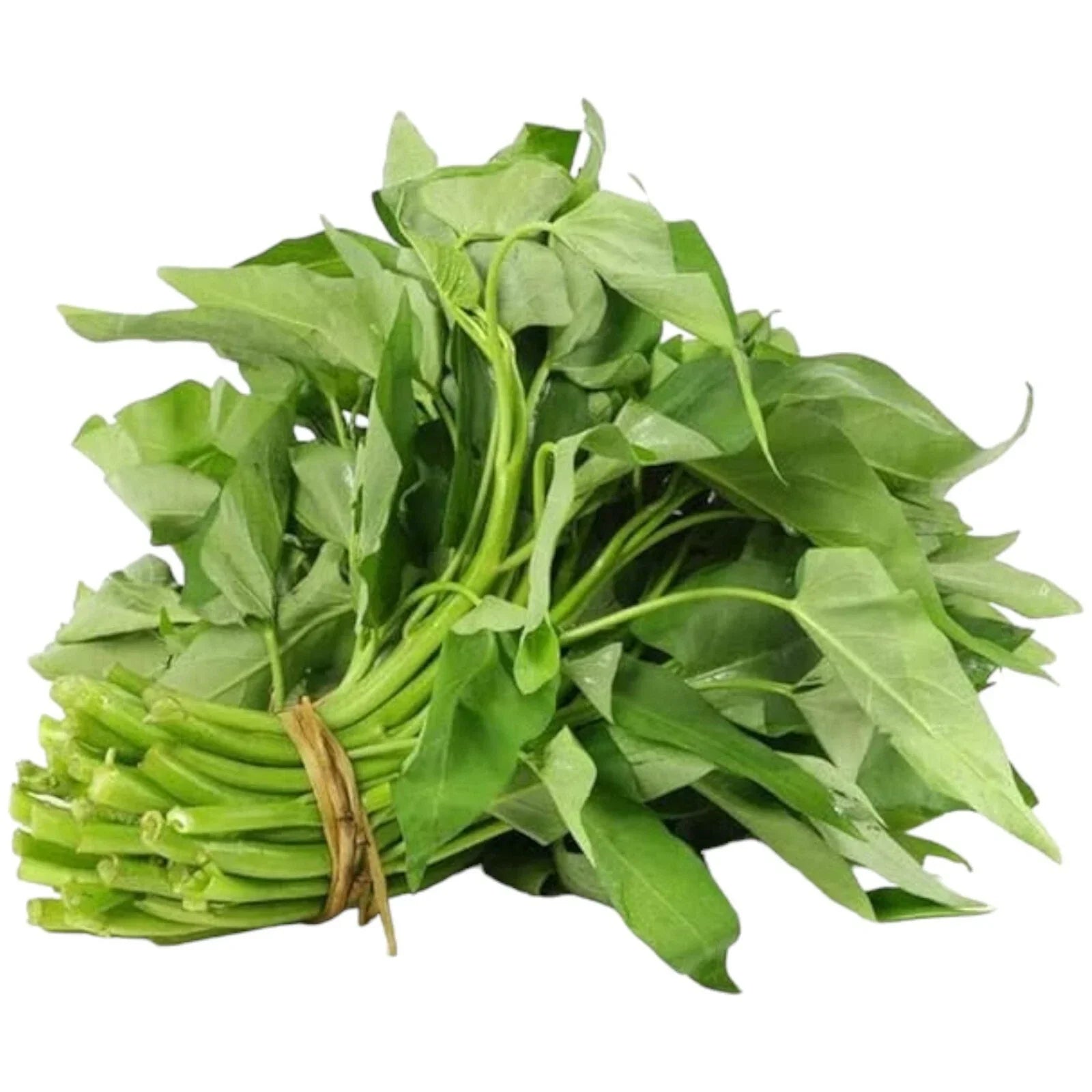 Water Spinach Seeds 120pcs Organic Non-GMO Heirloom Ipomoea aquatica Vegetable Seeds for Home Gardening