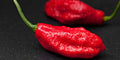 Ghost Pepper Seeds - Capsicum chinense - Spicy Hot Pepper Seeds for Gardening - Fruity, Smoky Flavor, Bright Red Ripe
