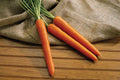 Olympus Carrot Seeds - 1000+ Daucus carota Non-GMO Garden Planting Pack for Home Gardens