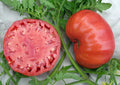 Mortgage Lifter Tomato Seeds - Heirloom Organic Non-GMO Seeds for Home Gardening - Solanum lycopersicum