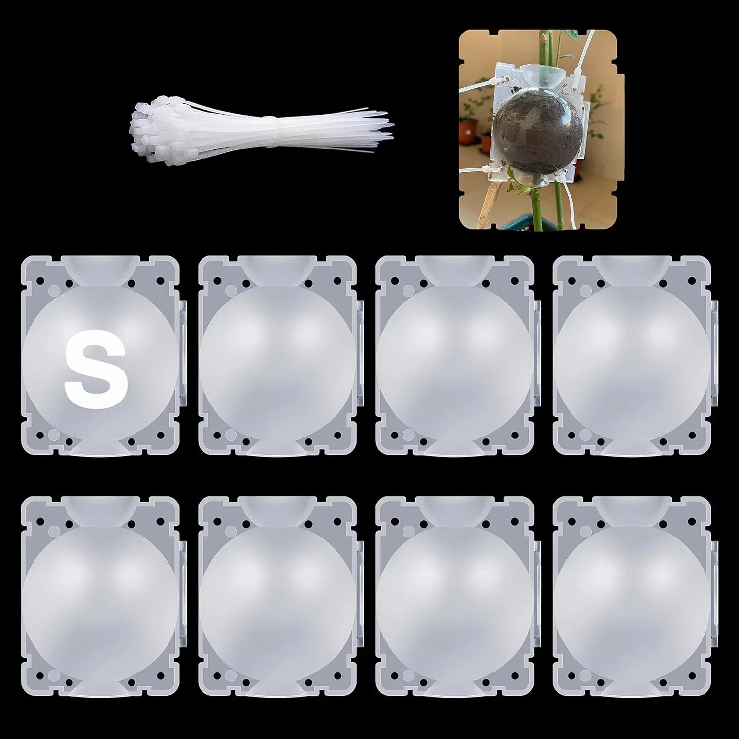 Air Layering Pods - 8 Pcs Small Transparent Plant Propagation Balls for Rooting and Healthy Growth