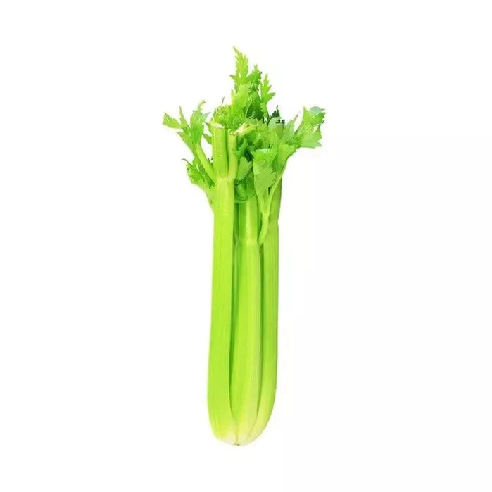 Celery Seeds - 20 Pack - Heirloom Apium graveolens Vegetable Seeds for Home Garden & Container Planting
