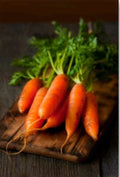 Baby Carrot Seeds - Organic Non-GMO Open Pollinated Daucus carota, 300+ Seeds for Home Garden & Containers