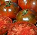 Paul Robeson Tomato Seeds – Indeterminate Beefsteak Variety, Heirloom, Solanum lycopersicum, 100+ Seeds