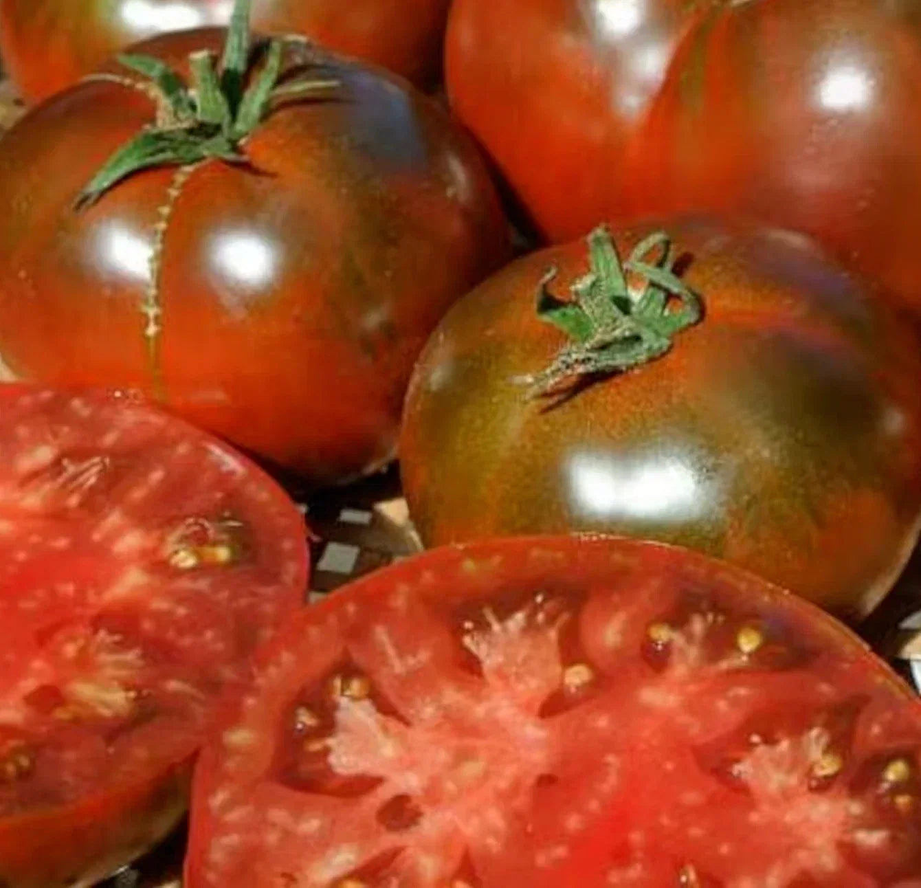 Paul Robeson Tomato Seeds – Indeterminate Beefsteak Variety, Heirloom, Solanum lycopersicum, 100+ Seeds