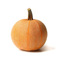 Winter Luxury Pumpkin Seeds - Heirloom Cucurbita pepo for Fall Decorations & Cooking, 25+ Seeds Packet