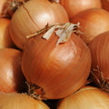 Yellow Sweet Spanish Onion Seeds - Allium cepa Vegetable Garden Seeds, 250+ Bulb-Forming, Mild Flavor