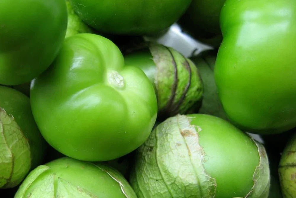 Tomatillo Seeds - 50+ Green Physalis philadelphica for Salsas & Cooking, Heirloom, Non-GMO