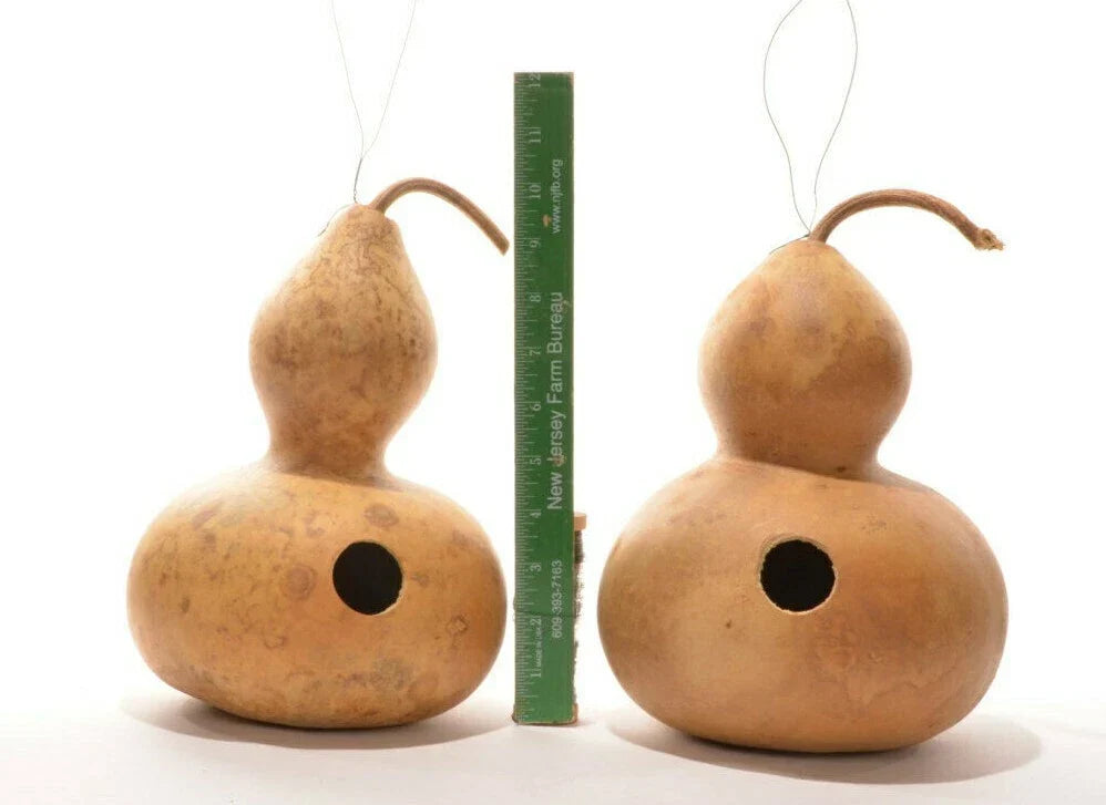 Birdhouse Bottle Gourd Seeds, Heirloom Vine for Crafts & Gardens, Lagenaria siceraria, DIY Birdhouse Plant, Non-GMO, 15+ Seeds