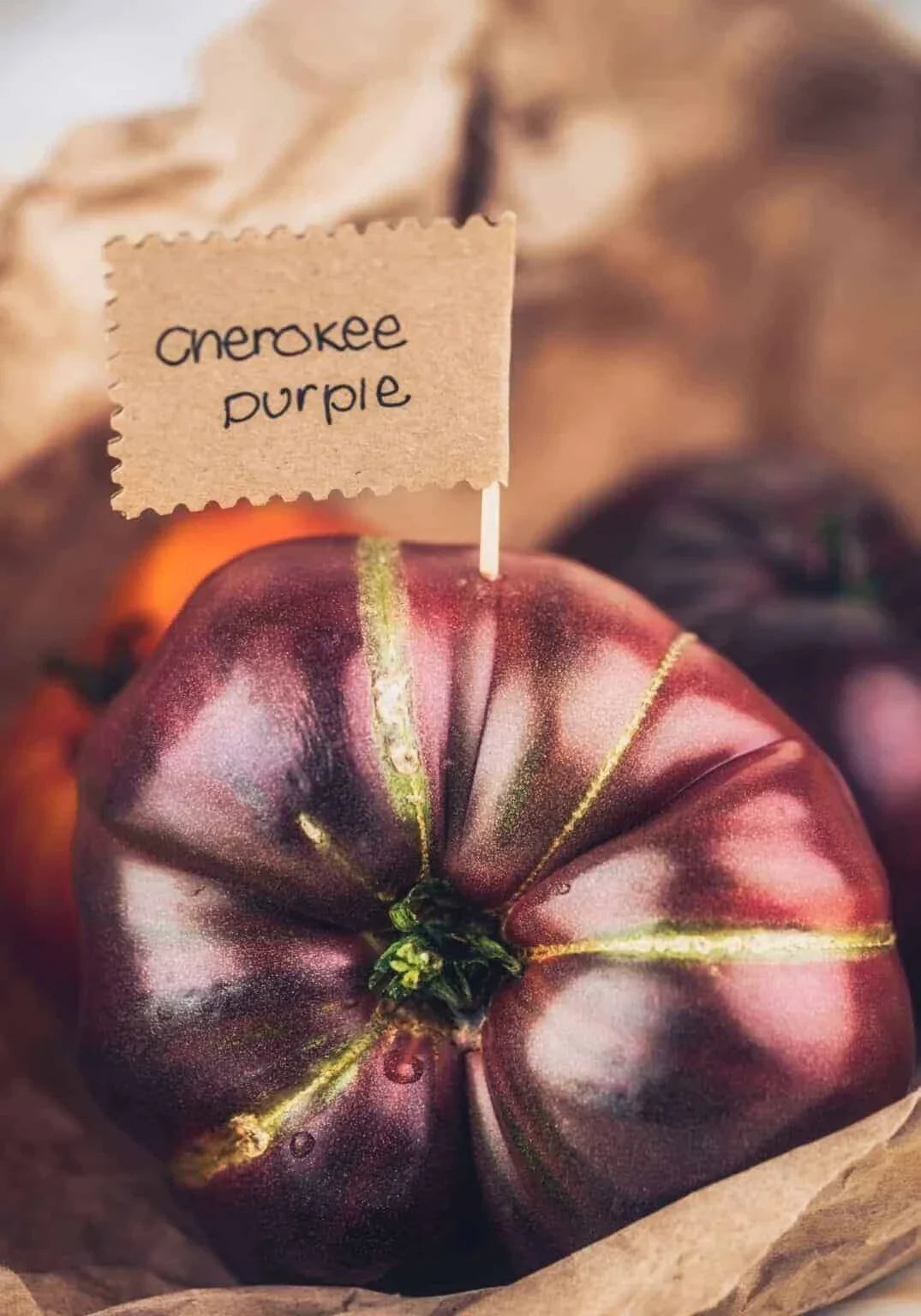 Cherokee Purple Tomato Seeds - Heirloom Organic Non-GMO Solanum lycopersicum, 120+ Seeds