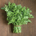 500 Shungiku Seeds Edible Chrysanthemum Asian Greens for Culinary Gardens - Chrysanthemum coronarium Seeds