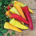 Sweet Banana Pepper Seeds - Heirloom Capsicum annuum, Culinary, 25 Pack, Yellow to Orange, Mild Flavor