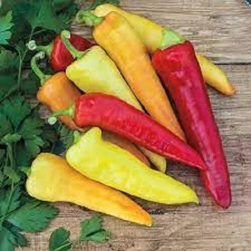 Sweet Banana Pepper Seeds - Heirloom Capsicum annuum, Culinary, 25 Pack, Yellow to Orange, Mild Flavor