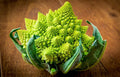 Broccoli Romanesco Seeds - 100 Count Heirloom Vegetable Brassica oleracea 'Romanesco' Unique Fractal Heads